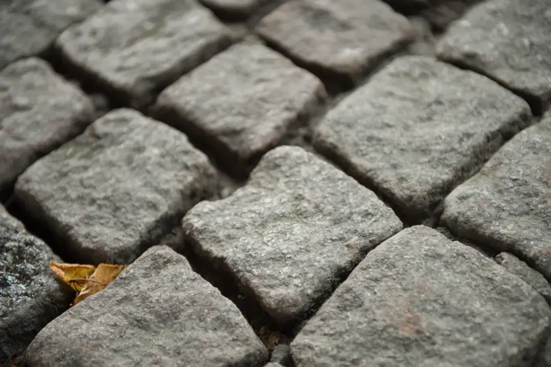 Belgian block border exposed to winter road salt and runoff